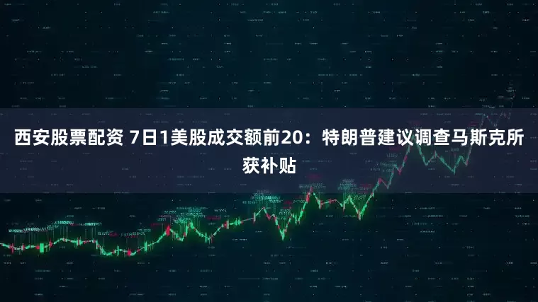 西安股票配资 7日1美股成交额前20：特朗普建议调查马斯克所获补贴
