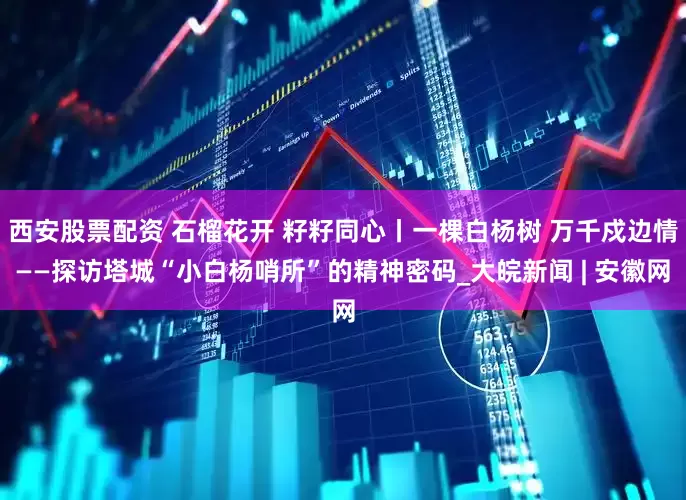 西安股票配资 石榴花开 籽籽同心丨一棵白杨树 万千戍边情——探访塔城“小白杨哨所”的精神密码_大皖新闻 | 安徽网